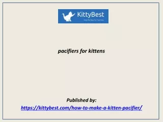 pacifiers for kittens