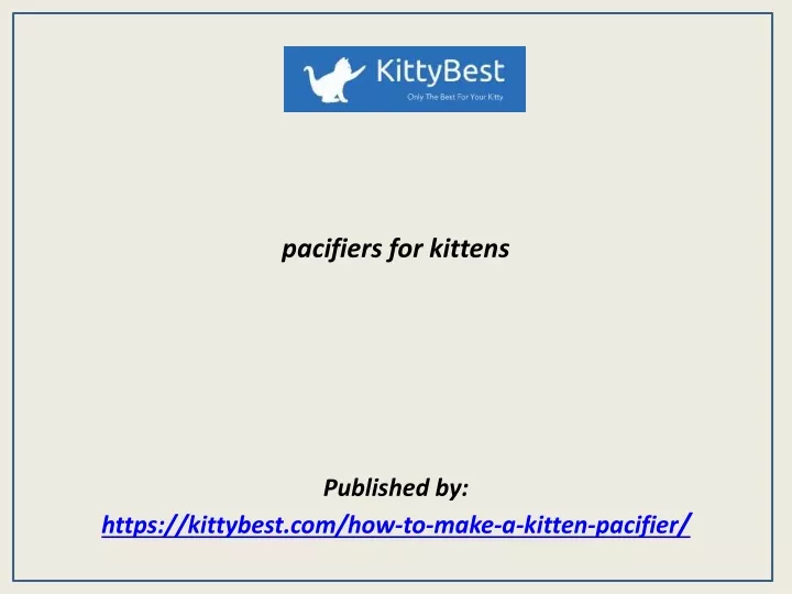 pacifiers for kittens published by https kittybest com how to make a kitten pacifier