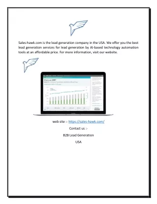 B2b Lead Generation Services Online Usa | Sales-hawk.com