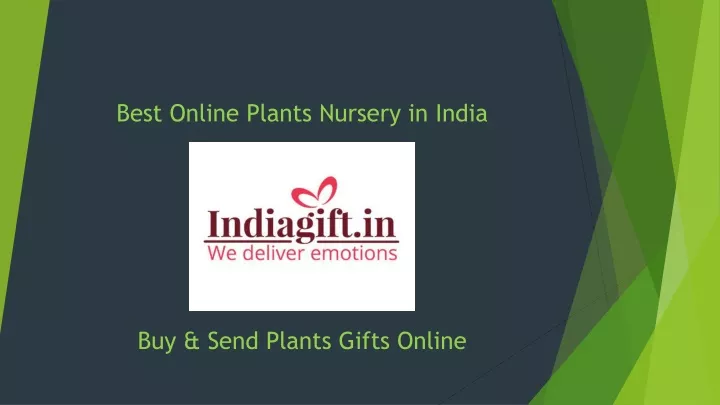 best online plants nursery in india
