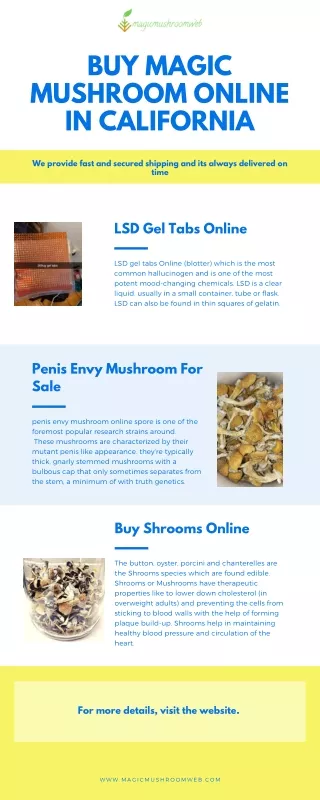 Buy Magic Mushroom Online in California from Magic Mushroom Web