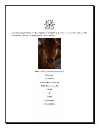 Cow Funding Online | Gofundcows.org