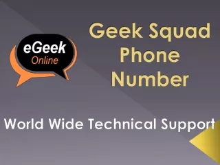 Geek Squad Phone Number