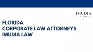 Florida Corporate Law Attorney | IMUDIA LAW