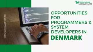 Guide to Various Opportunities for Programmers and System Developers in Denmark