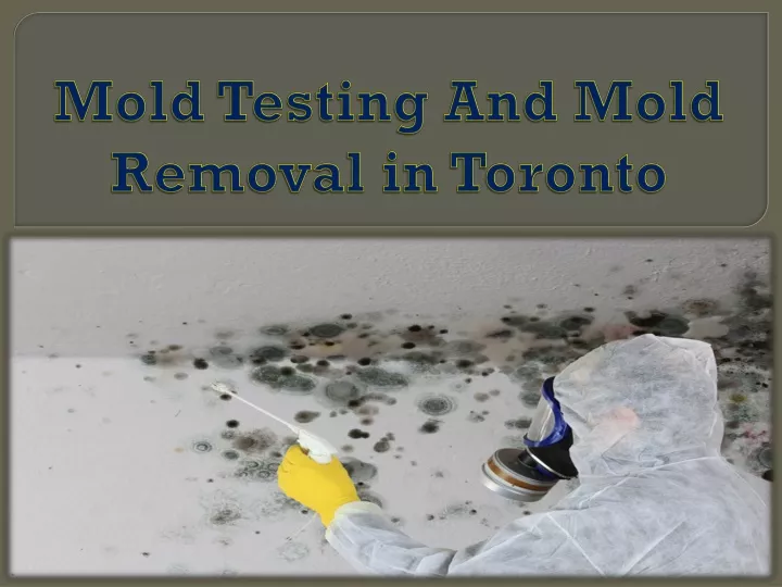 mold testing and mold removal in toronto