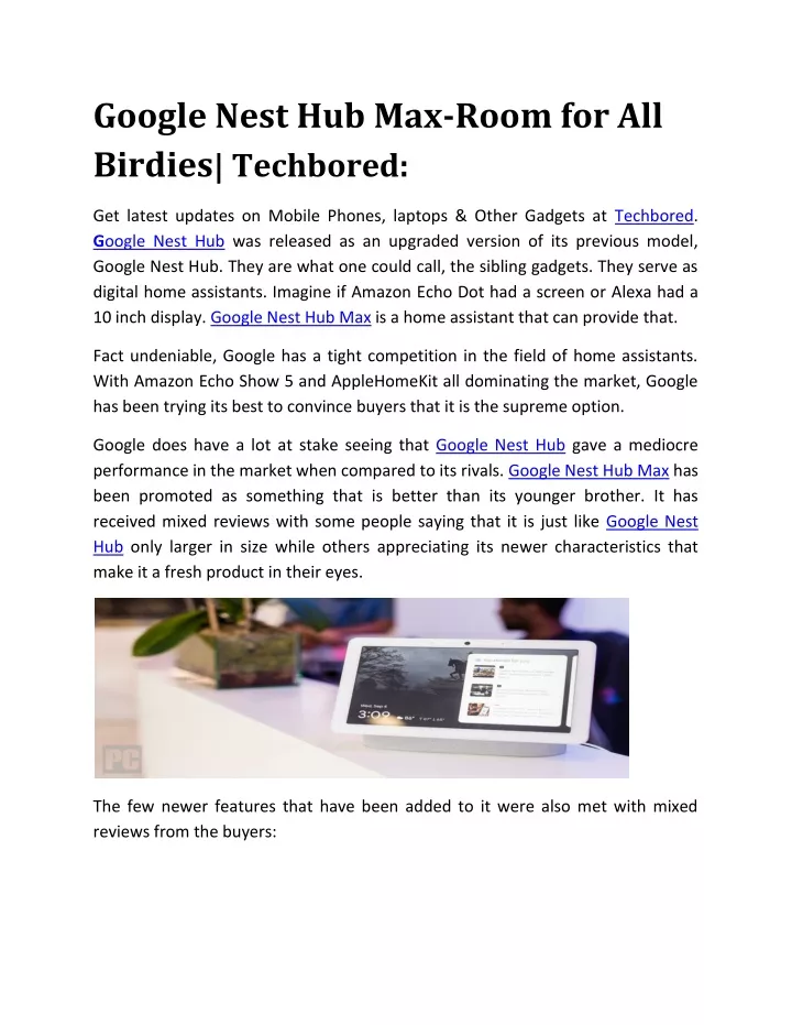 google nest hub max room for all birdies techbored