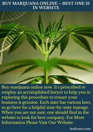 Buy Marijuana Online – Best One Is In Website