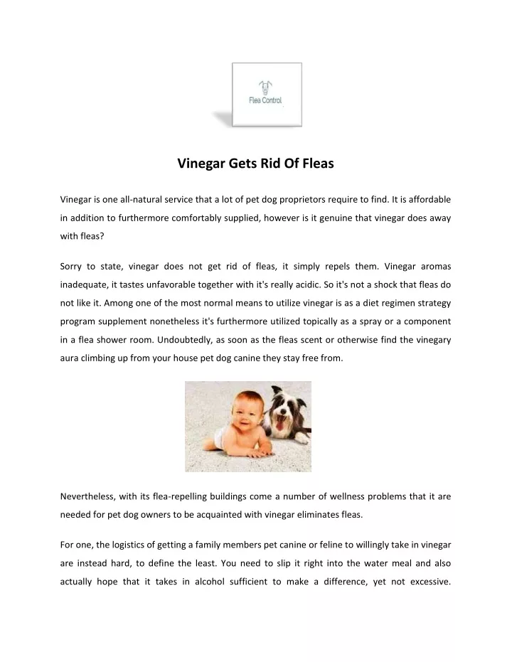 vinegar gets rid of fleas