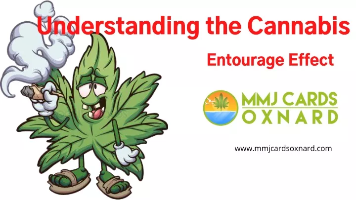 understanding the cannabis