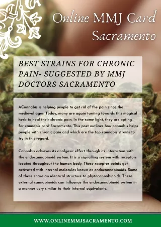 Best Cannabis Strains For Chronic Pain