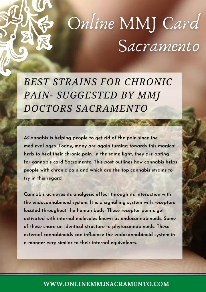 best strains for chronic pain suggested