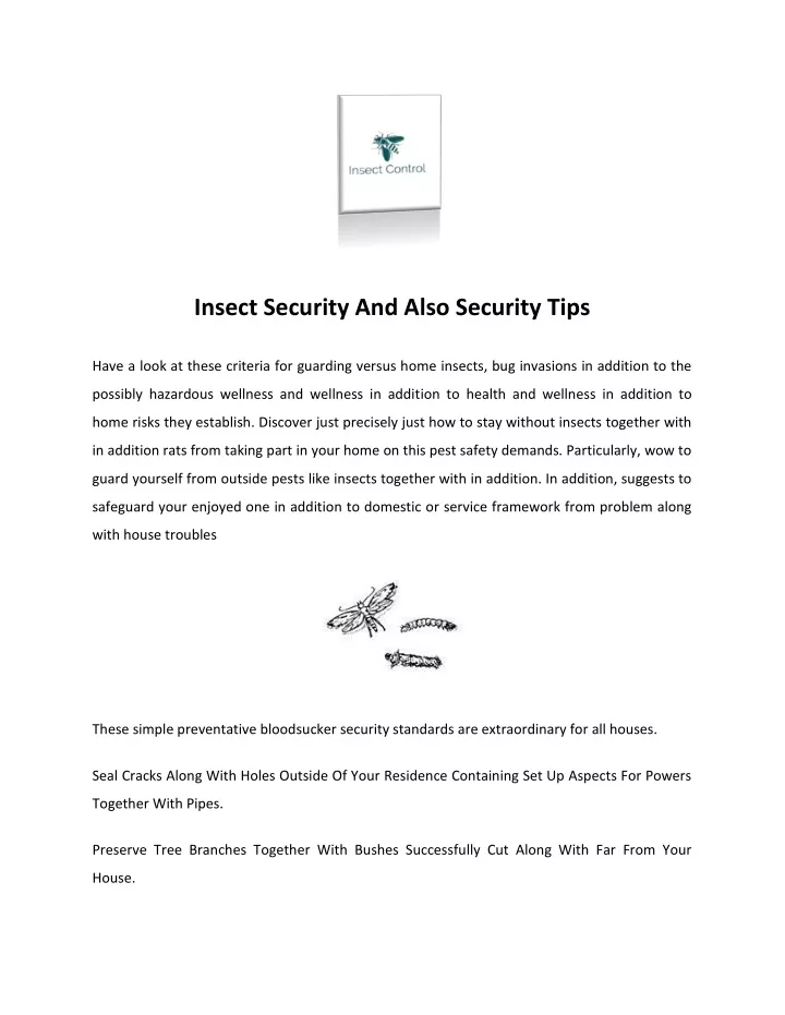 insect security and also security tips