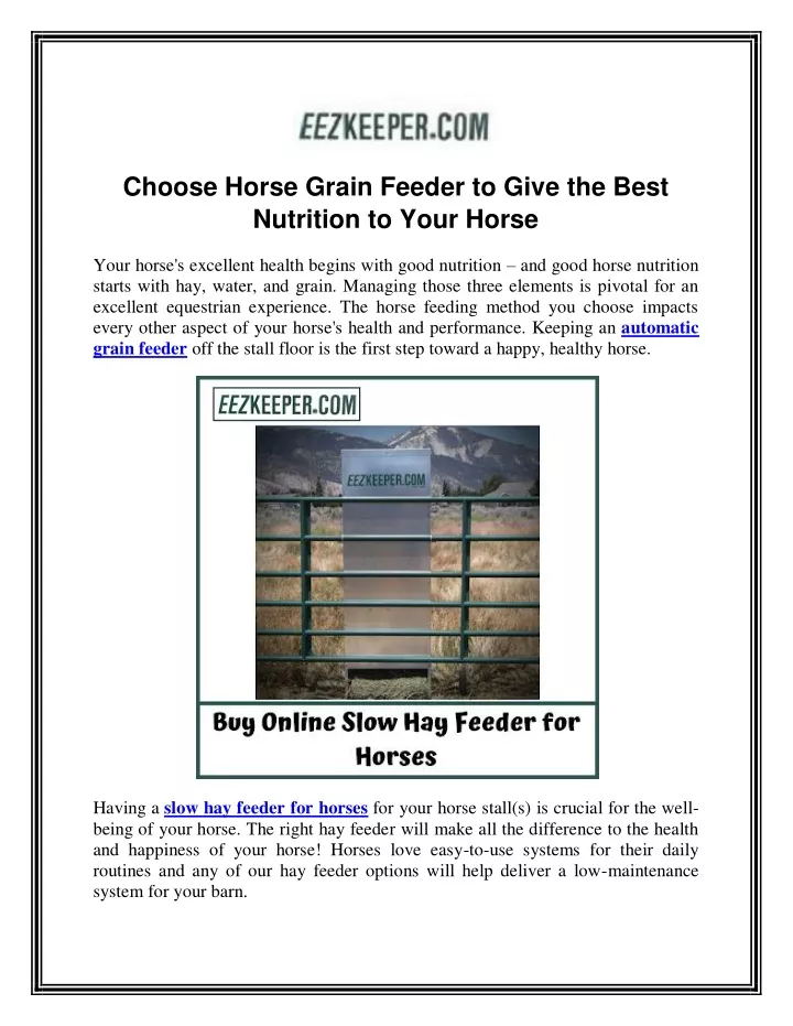choose horse grain feeder to give the best