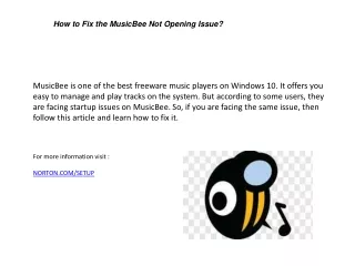 How to Fix the MusicBee Not Opening Issue?