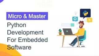 micro master micro master python development