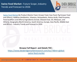 swine feed market future scope industry trends