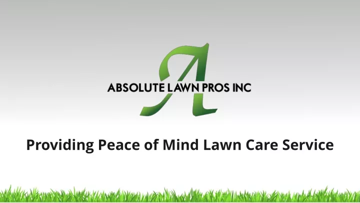 providing peace of mind lawn care service