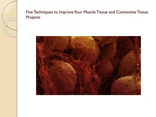 five techniques to improve your muscle tissue and connective tissue projects