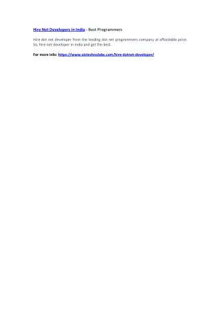hire net developers in india best programmers