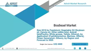 Biodiesel Market – Global- Industry Trends and report forecast 2025