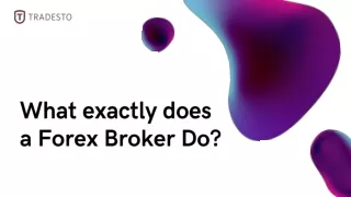 What exactly does a forex broker do?