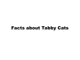 Facts About Tabby Cats