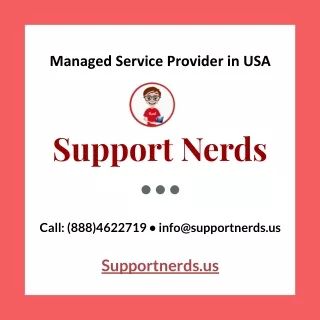 IT Consulting & Managed Service Provider in USA - SupportNerds