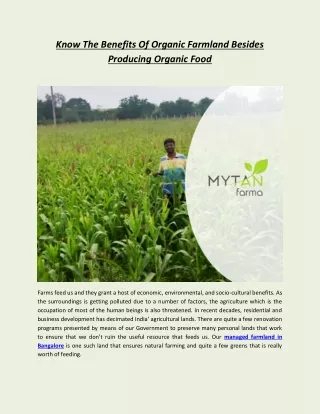 Know The Benefits Of Organic Farmland Besides Producing Organic Food