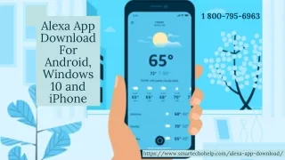 1 800 795 6963