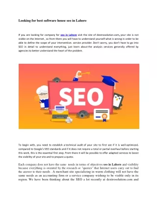 looking for best software house seo in lahore