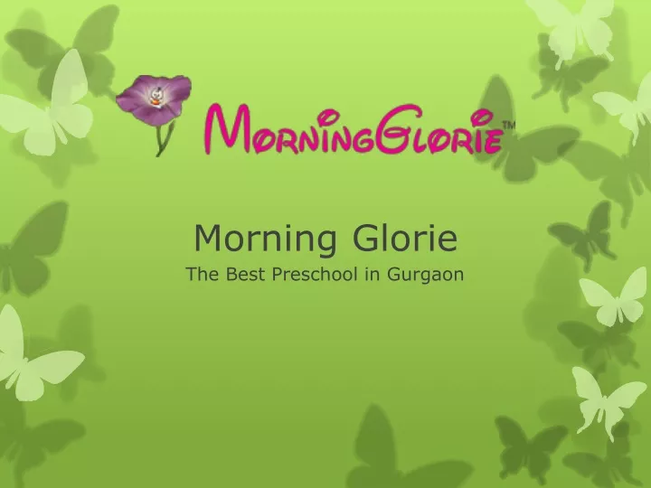 morning glorie