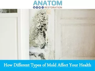 how different types of mold affect your health