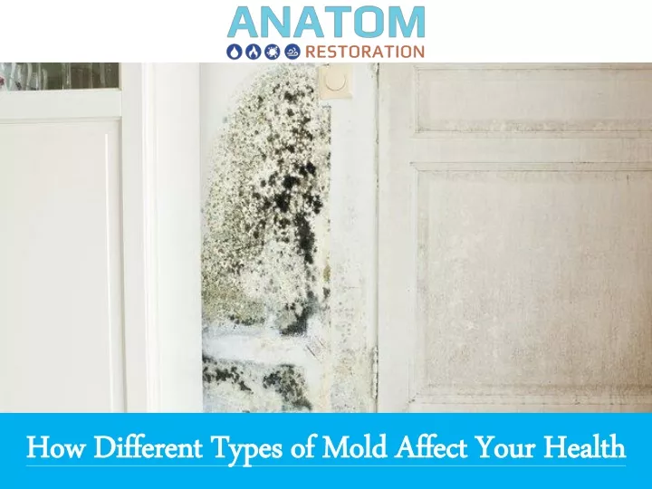 how different types of mold affect your health