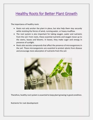 healthy roots for better plant growth healthy