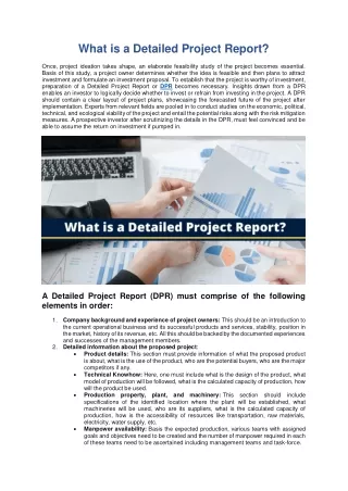 what is a detailed project report