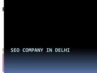 seo company in delhi