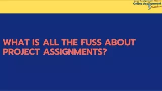 what is all the fuss about project assignments