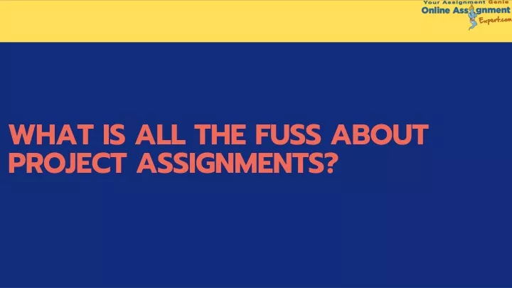what is all the fuss about project assignments