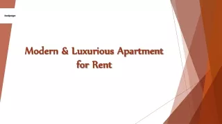 Modern & Luxurious Apartment for Rent