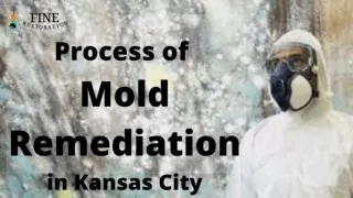 Process of Mold Remediation in Kansas City MO