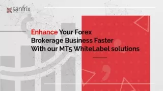 Enhance your forex brokerage business faster with our mt5 white label solutions