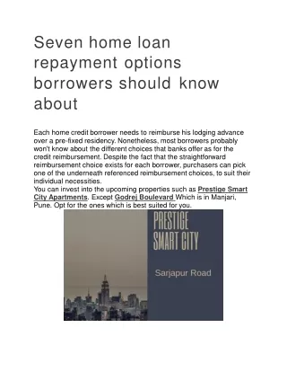 Seven home loan repayment options borrowers should know about