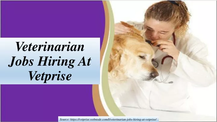 veterinarian jobs hiring at vetprise