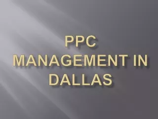 PPC Management in Dallas