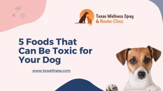 5 Foods That Can Be Toxic for Your Dog