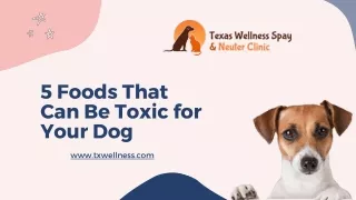 5 foods that can be toxic for your dog