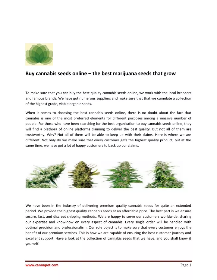 buy cannabis seeds online the best marijuana
