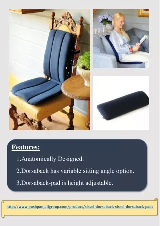 Sissel DorsaBack | Lumbar Support |  Pushpanjali medi India Pvt Ltd