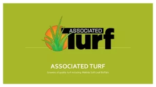 Turf Supplies Sydney – Affordable Turf Services In Australia